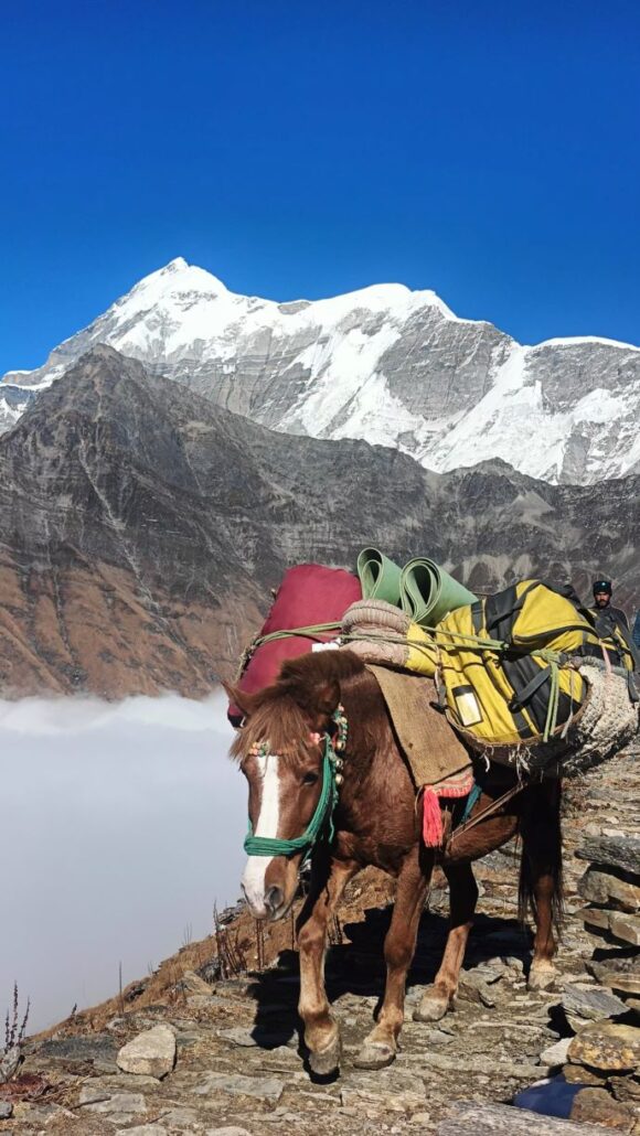 roopkund trek