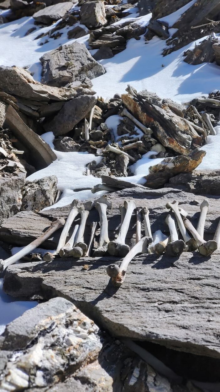 roopkund trek skeletons